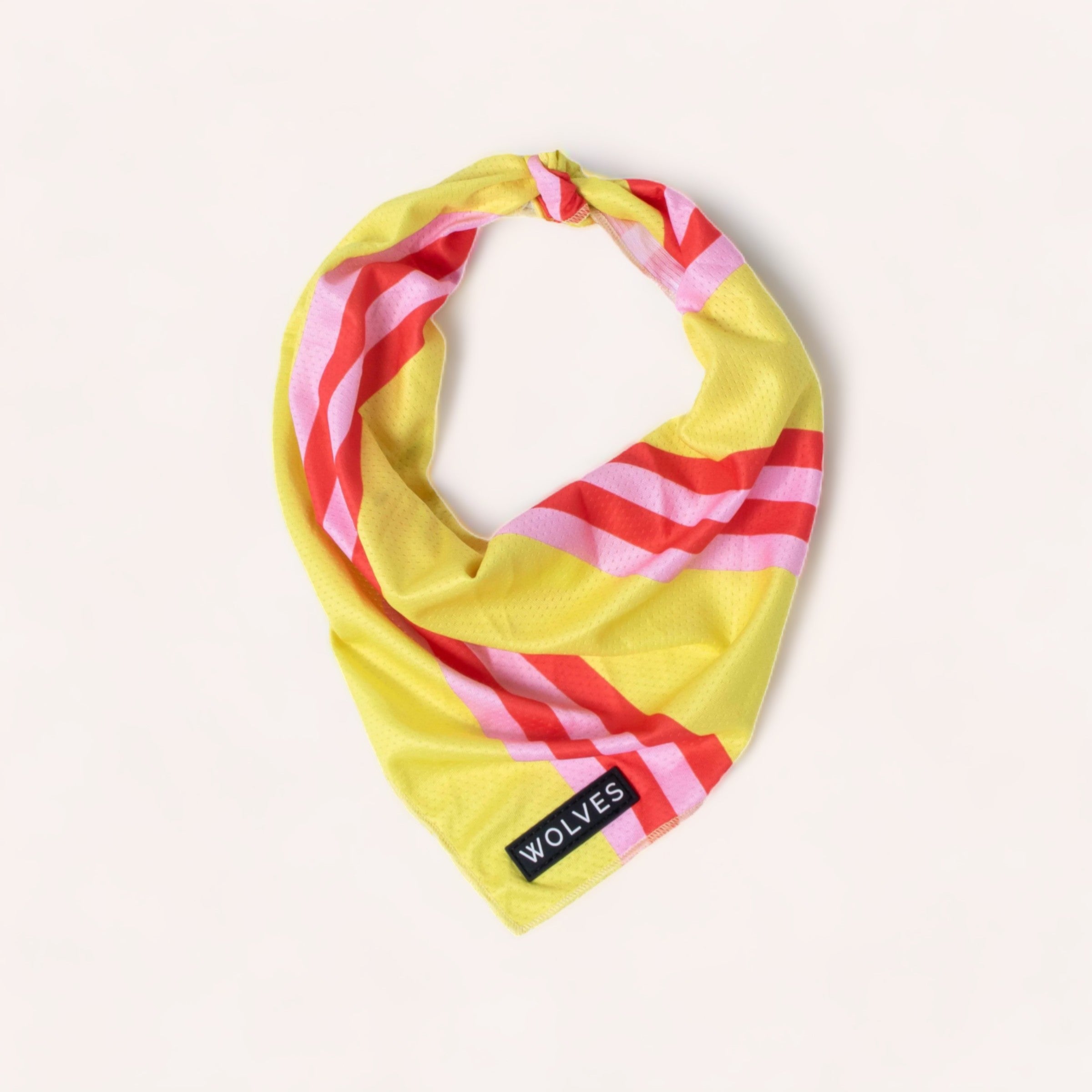 A vibrant yellow and pink striped wrinkle-free Penny Bandana by Wolves of Wellington with the word "wolves" printed on one corner, neatly laid out on a white background.