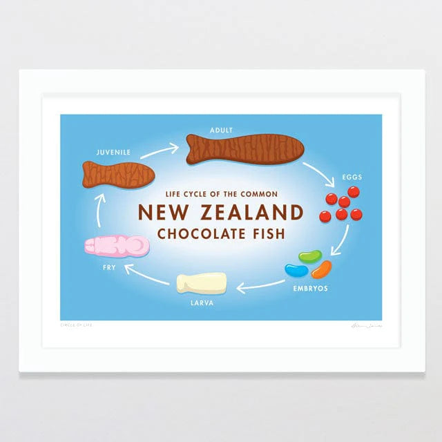 Life cycle of the common New Zealand chocolate fish: a whimsical illustration from juvenile to adult stages, including embryos, larva, and fry. This framed print by Glenn Jones is a charming product of Circle of Life by Glenn Jones.