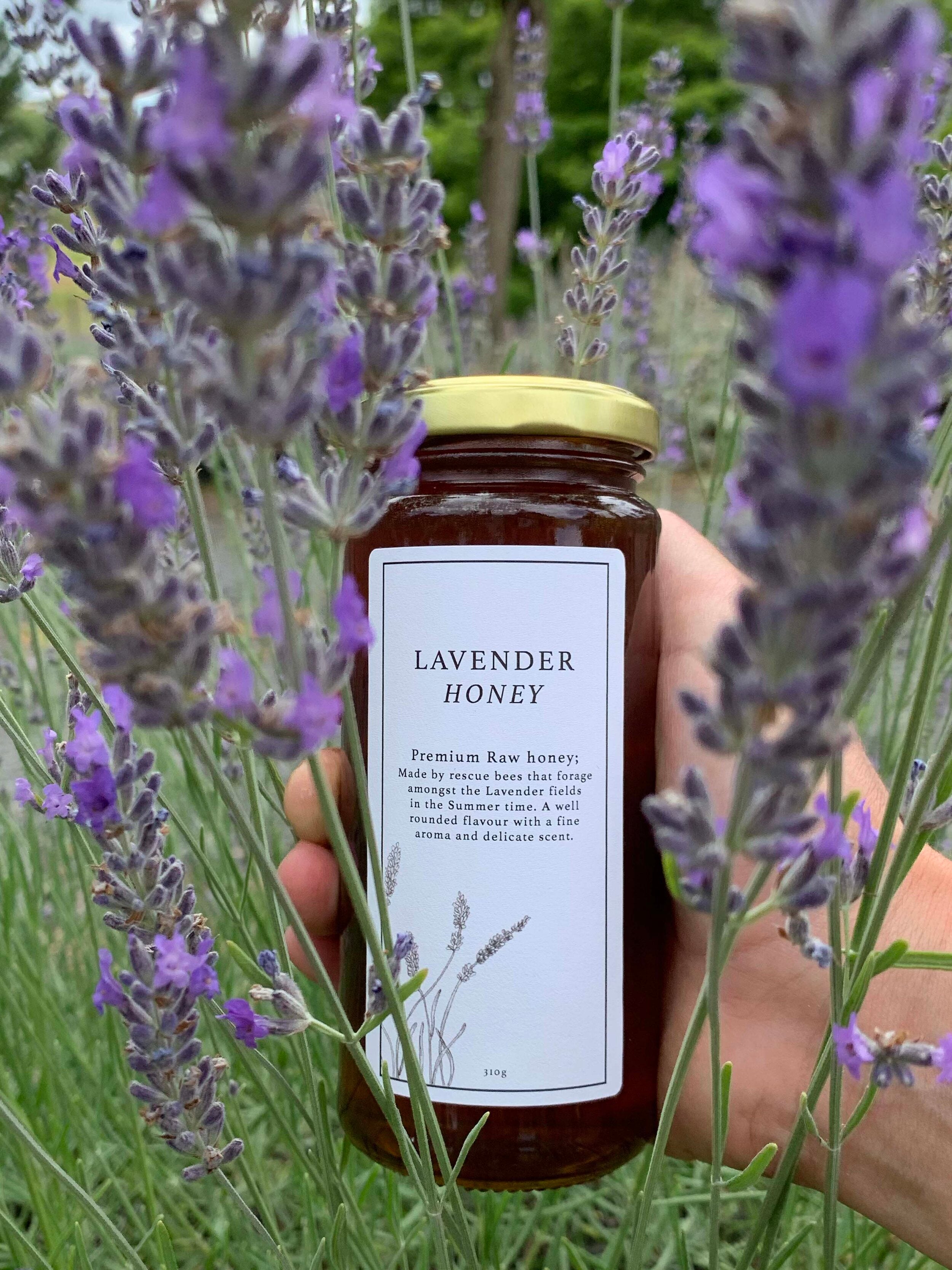 A jar of lavender honey by Bees Up Top is held amidst blooming lavender plants in Riverhead, Auckland, showcasing the source of its raw natural flavor.