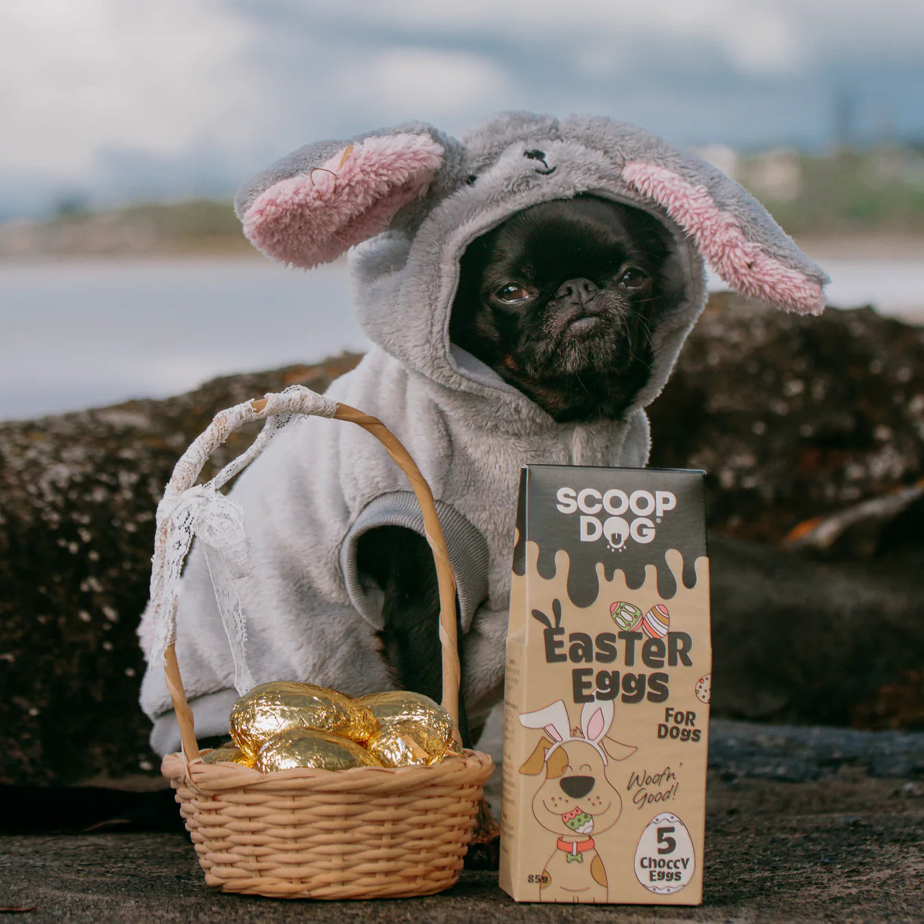 A pug dog dressed in an adorable bunny costume sitting beside a basket of golden Easter eggs and a box of Scoop Dog Easter Egg for Dogs, made with dog-friendly ingredients, ready to celebrate the holiday.