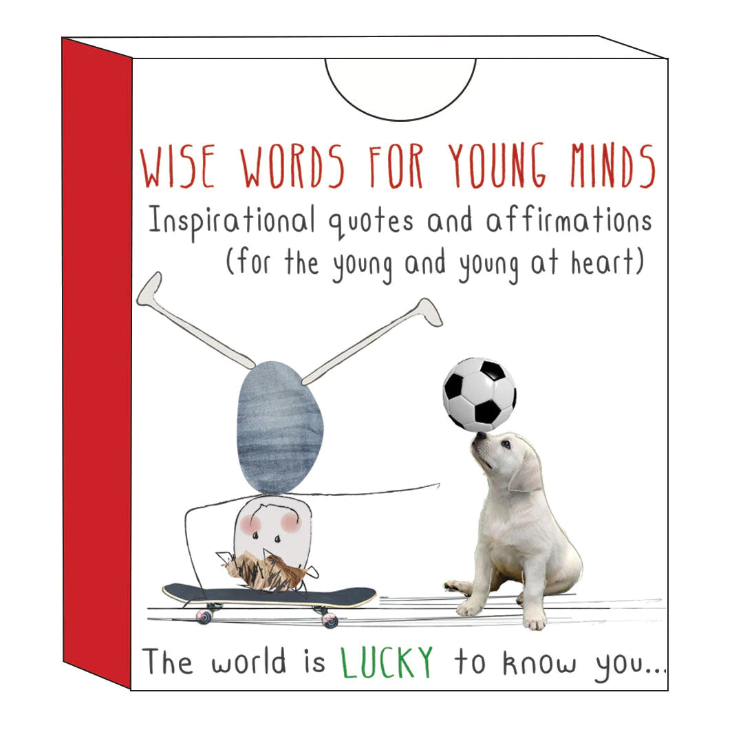 Illustrated cover showing an upside-down figure skateboarding and a puppy balancing a soccer ball on its nose. The text reads, "iCandy's Positivity Pack: Inspirational quotes and affirmations (for the young and young at heart). Parenting encouragement for positivity lovers. The world is lucky to know you…