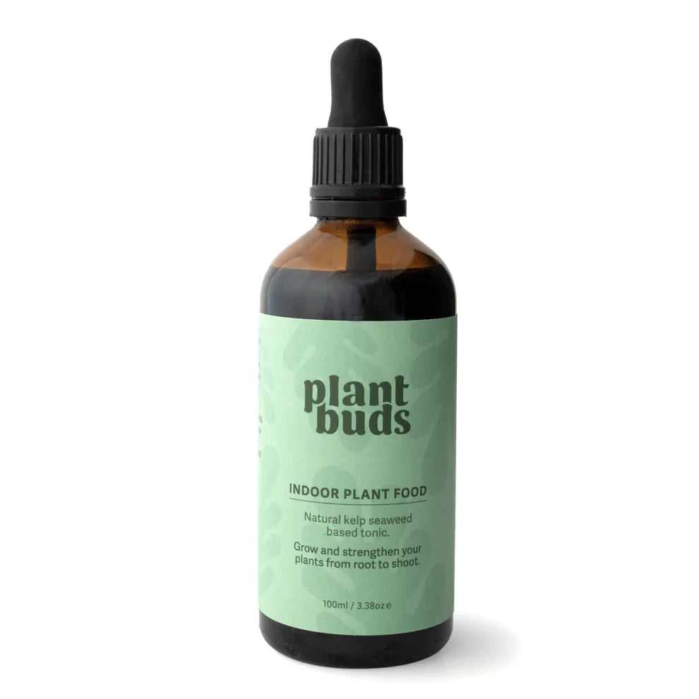 A bottle of "Ready, Set, Grow" indoor plant care food with a dropper, featuring natural kelp seaweed-based tonic to nourish and strengthen plants, isolated on a white background. Brand name: giftbox co.