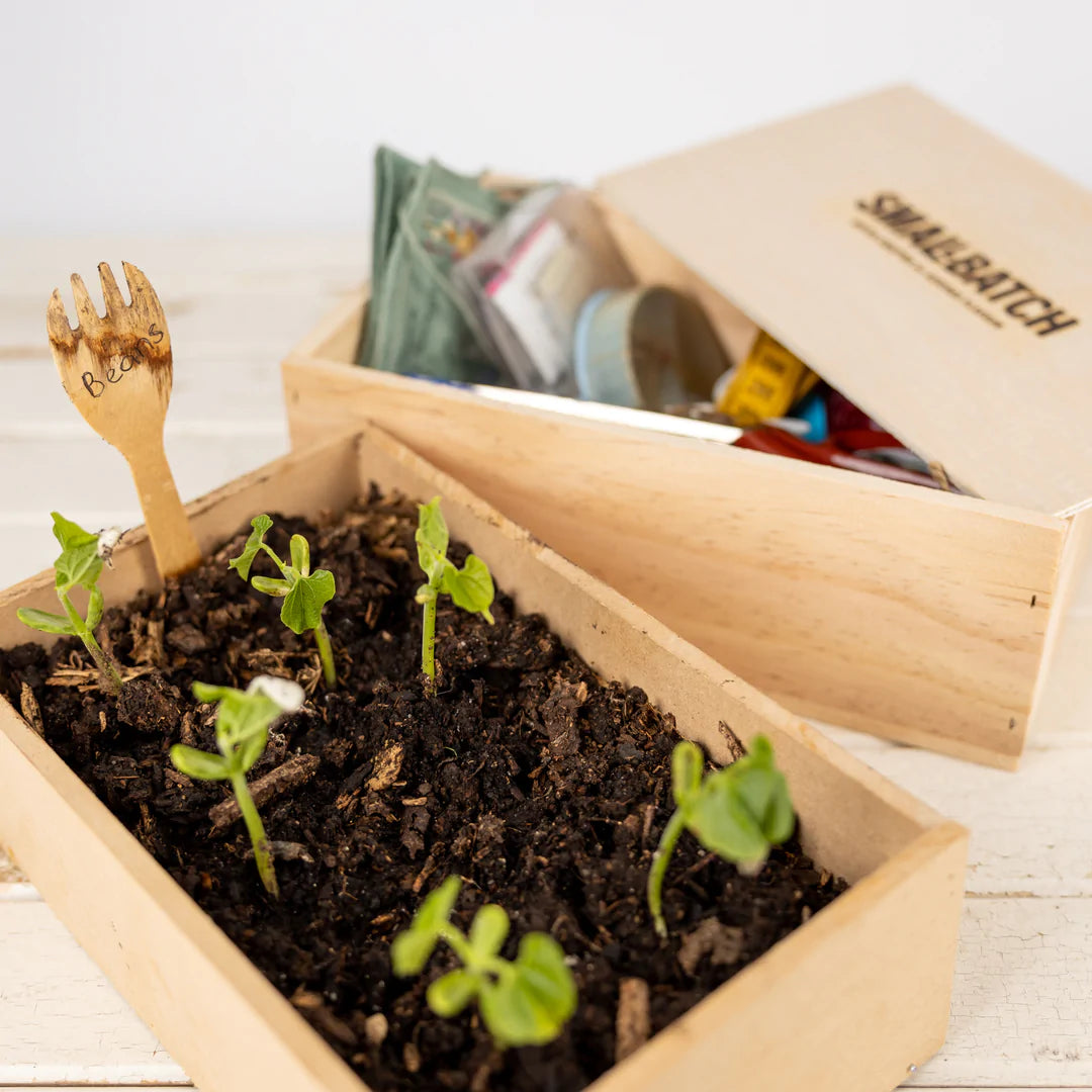 Young plants sprouting in a wooden box with a hand-labeled wooden fork marker, alongside a gardening kit with tools, seeds, and Smallbatch spreads.